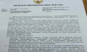 Surat Bupati Madina