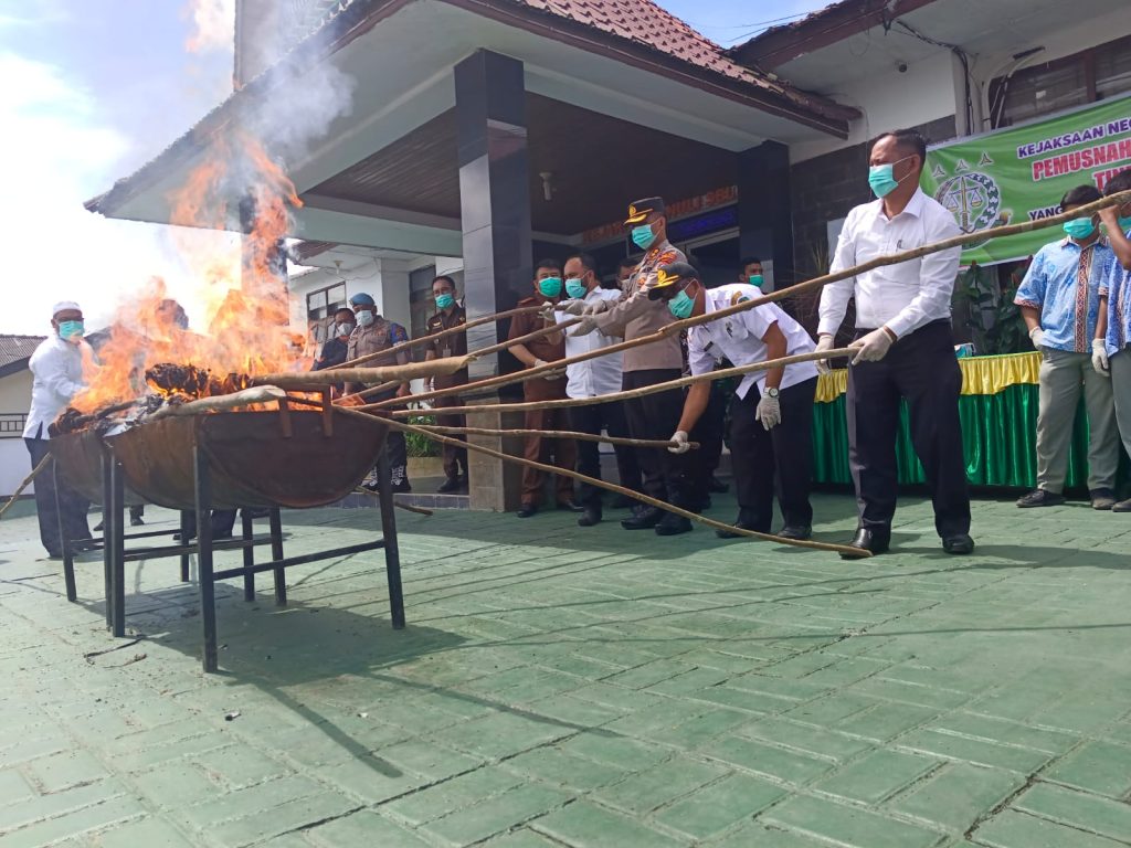 Kajari tapsel ANTONI SETIAWAN, S.H, M.H memimpin pemusnahan BB tindak pidana Narkotika dan Pidana Umum di Halaman kejaksaan Sipirok tapsel , rabu pagi,(8/2/2023)